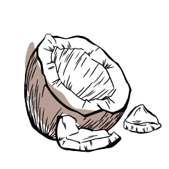 Noix de coco
